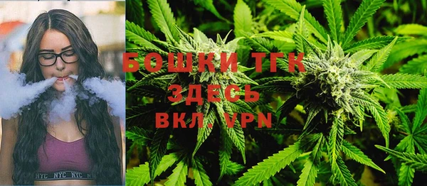 индика Болхов
