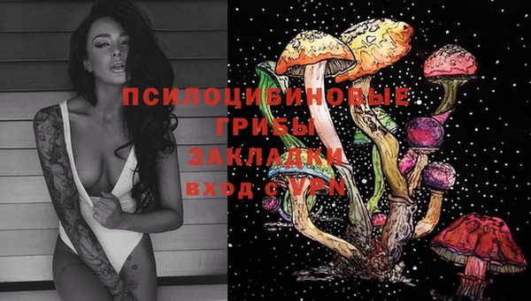 марки nbome Болотное