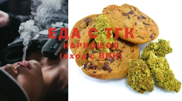 индика Болхов