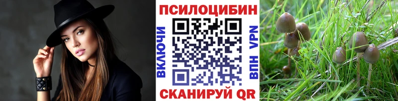 Псилоцибиновые грибы мицелий Шелехов